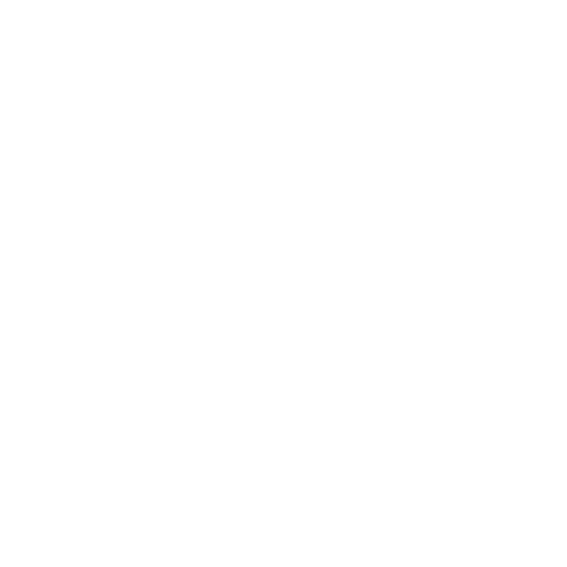 X SOLDIERS